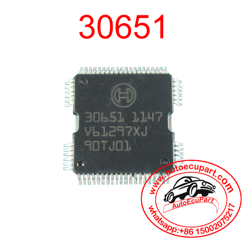 30651 Original New automotive BOSCH Engine Computer injector Driver IC component