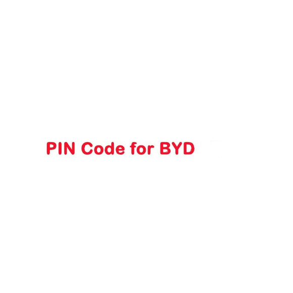 PIN Code Calculation Service for BYD