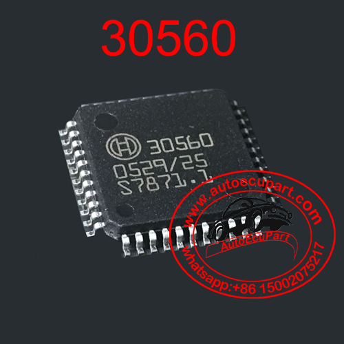 30560 Chip Original New BOSCH Engine Computer IC Auto component